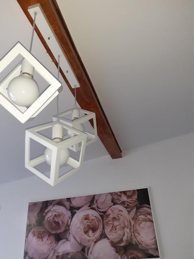 Flora Novi Sad Apartment ภายนอก รูปภาพ