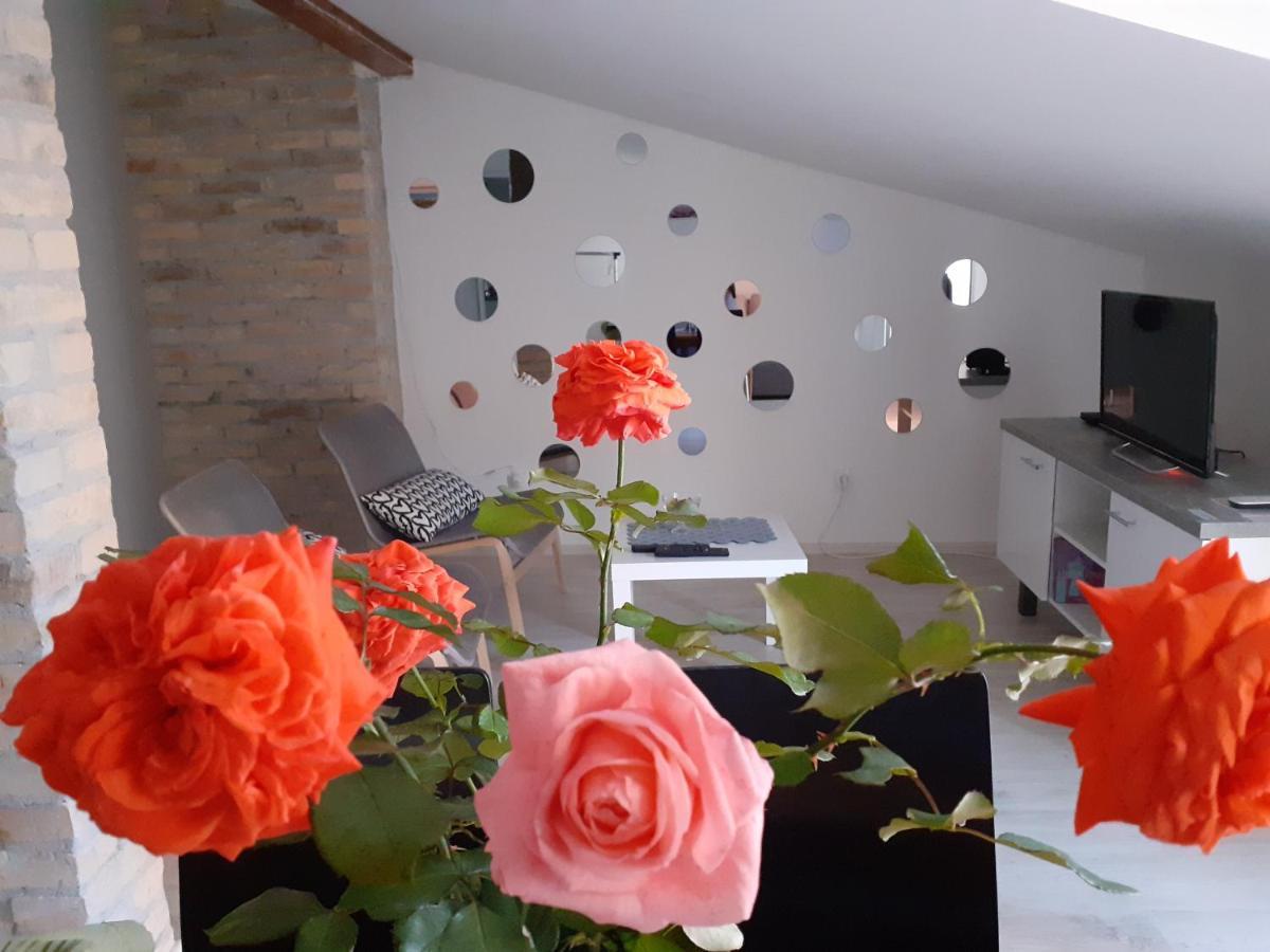 Flora Novi Sad Apartment ภายนอก รูปภาพ